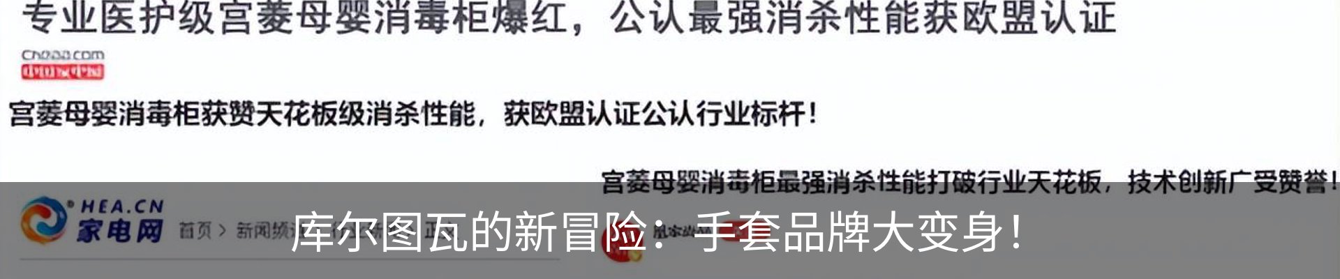 最新动态